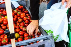 Plastic Bags vs. Paper Bags