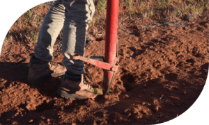 CarbonCare planting