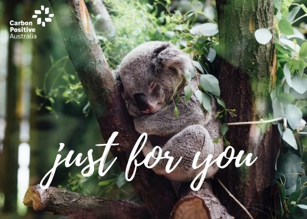 justforyou-koala Just for You Koala eCard Gift Donation