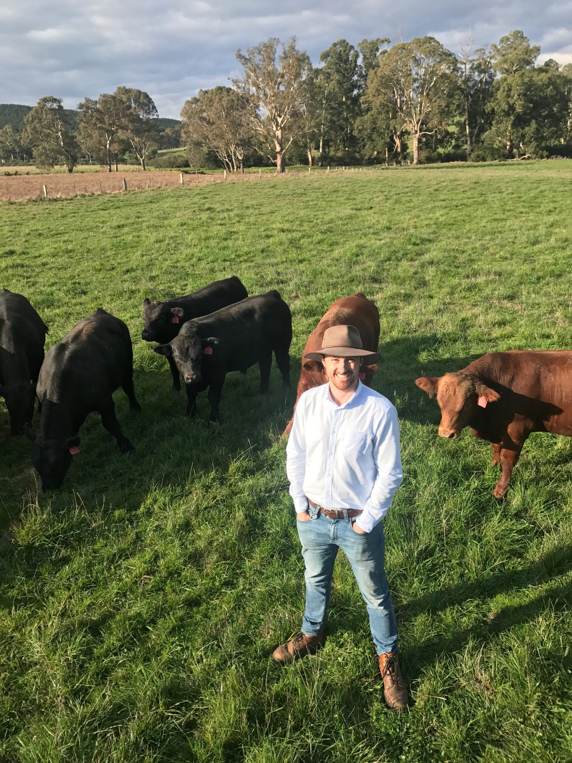 Man in hat standing in front of cows in pasture