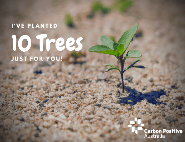 ecard-ten-trees-planted