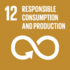 12-the-global-goals 12-the-global-goals