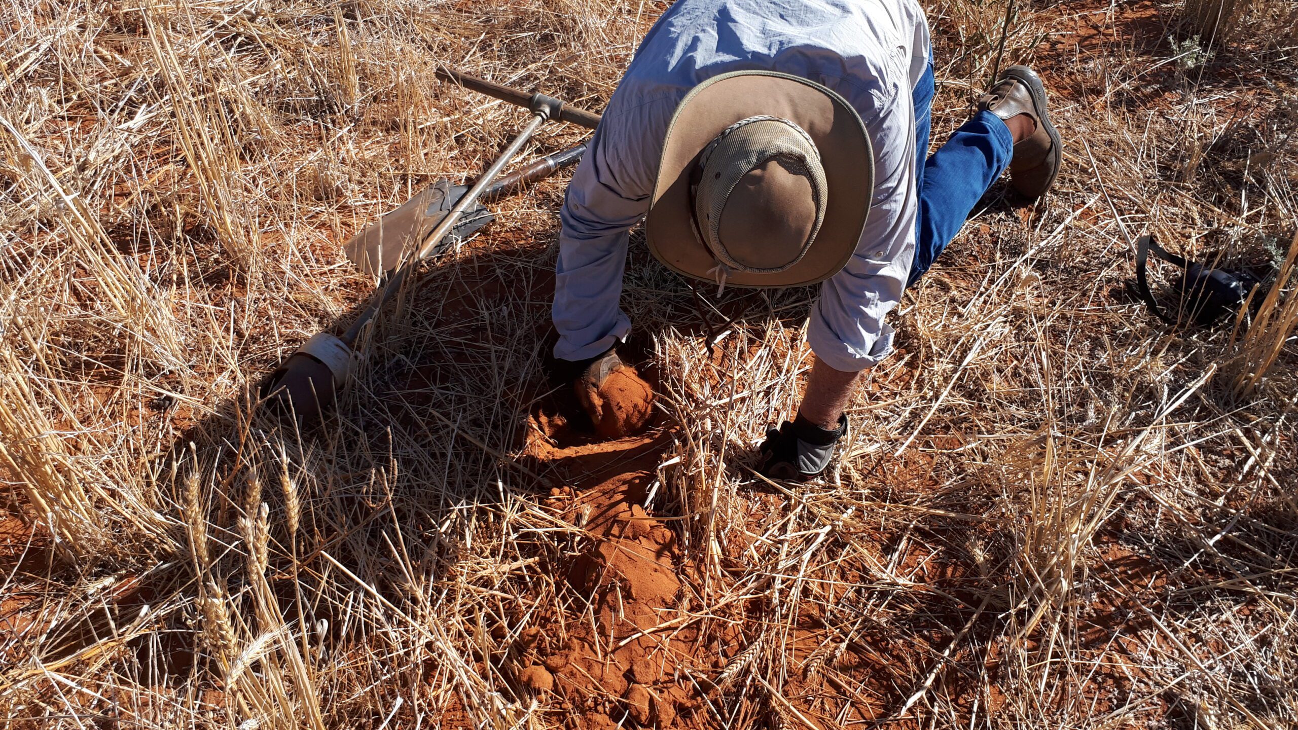 Man in a hat kneeling on the ground with hand in red soil next to a shovel and tool.