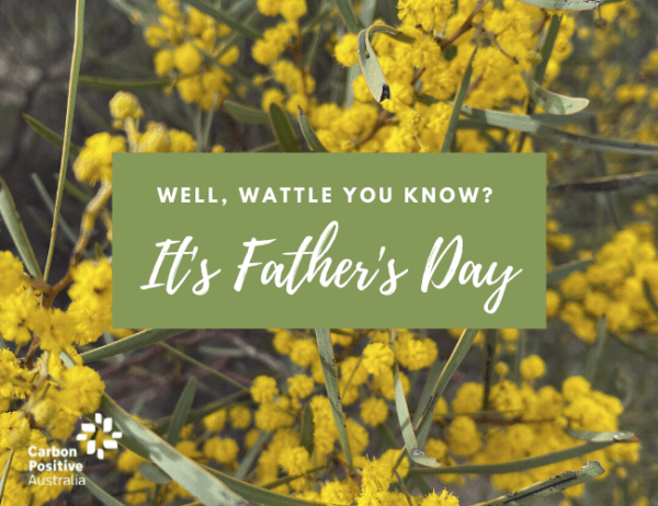 Happy Father's Day - Wattle You Know