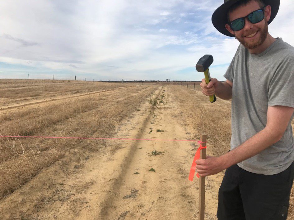 Man wearing glasses and a hat hammering a wooden stake into the ground of a sandy paddock.