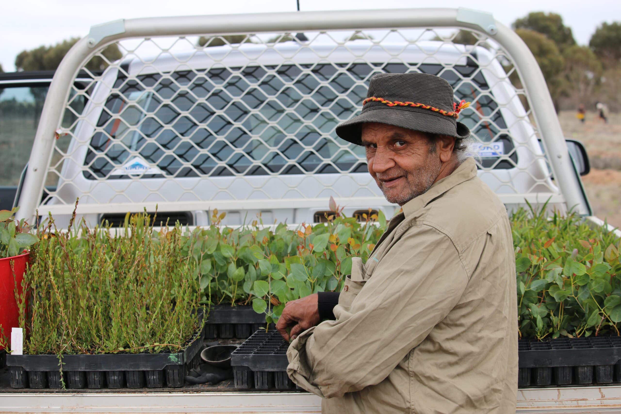 Man in a hat and long sleeve shirt turning around in front of a ute tray full of seedlings.