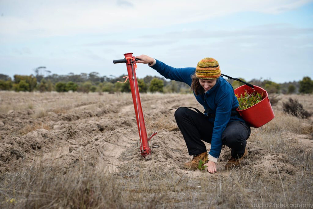 Woman in a blue long sleeve and orange beanie crouching to touch the soil next to a planted seedling, leaning on a red metal tool
