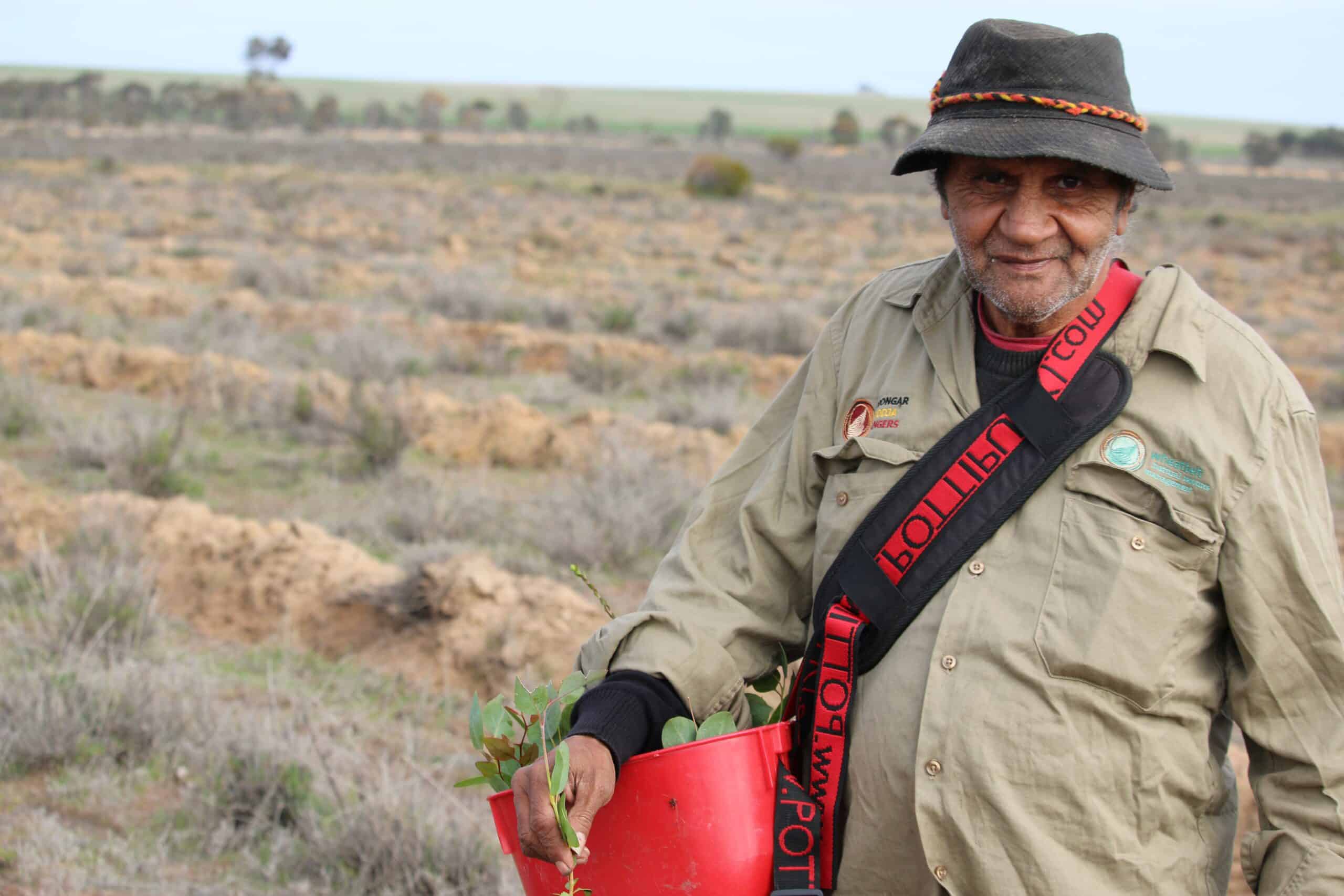 Man standing in a field holding a red bucket full of native Australian seedlings.
