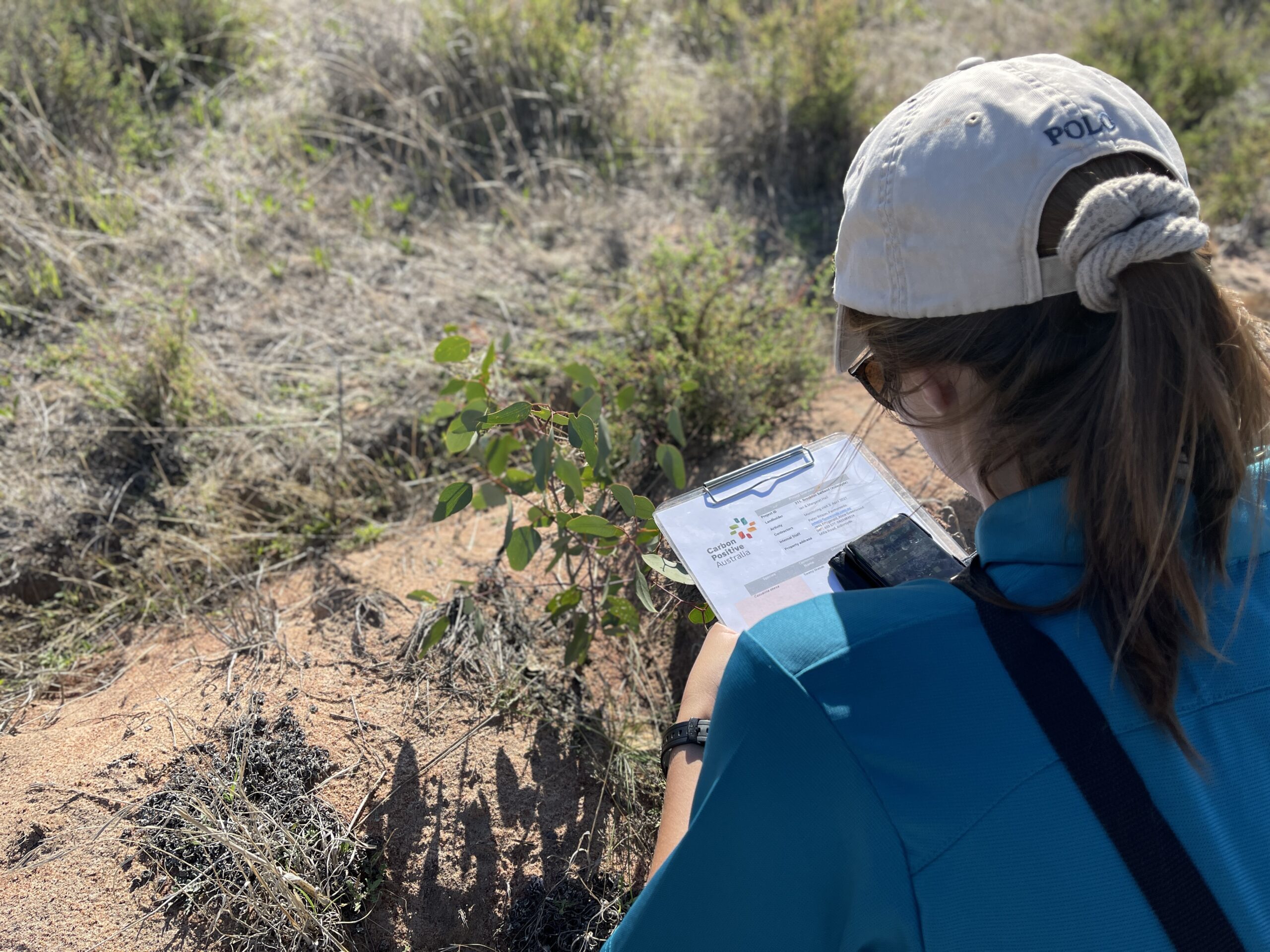 Girl facing away from the camera holding a clipboard and phone with juvenile eucalyptus tree in the background