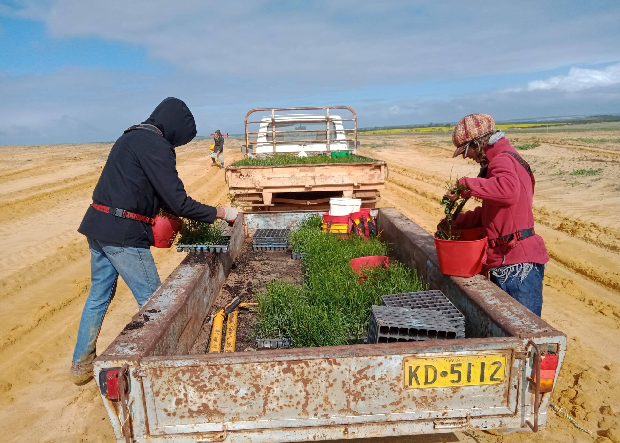 Two people on either side of a trailer filled with seedling trays