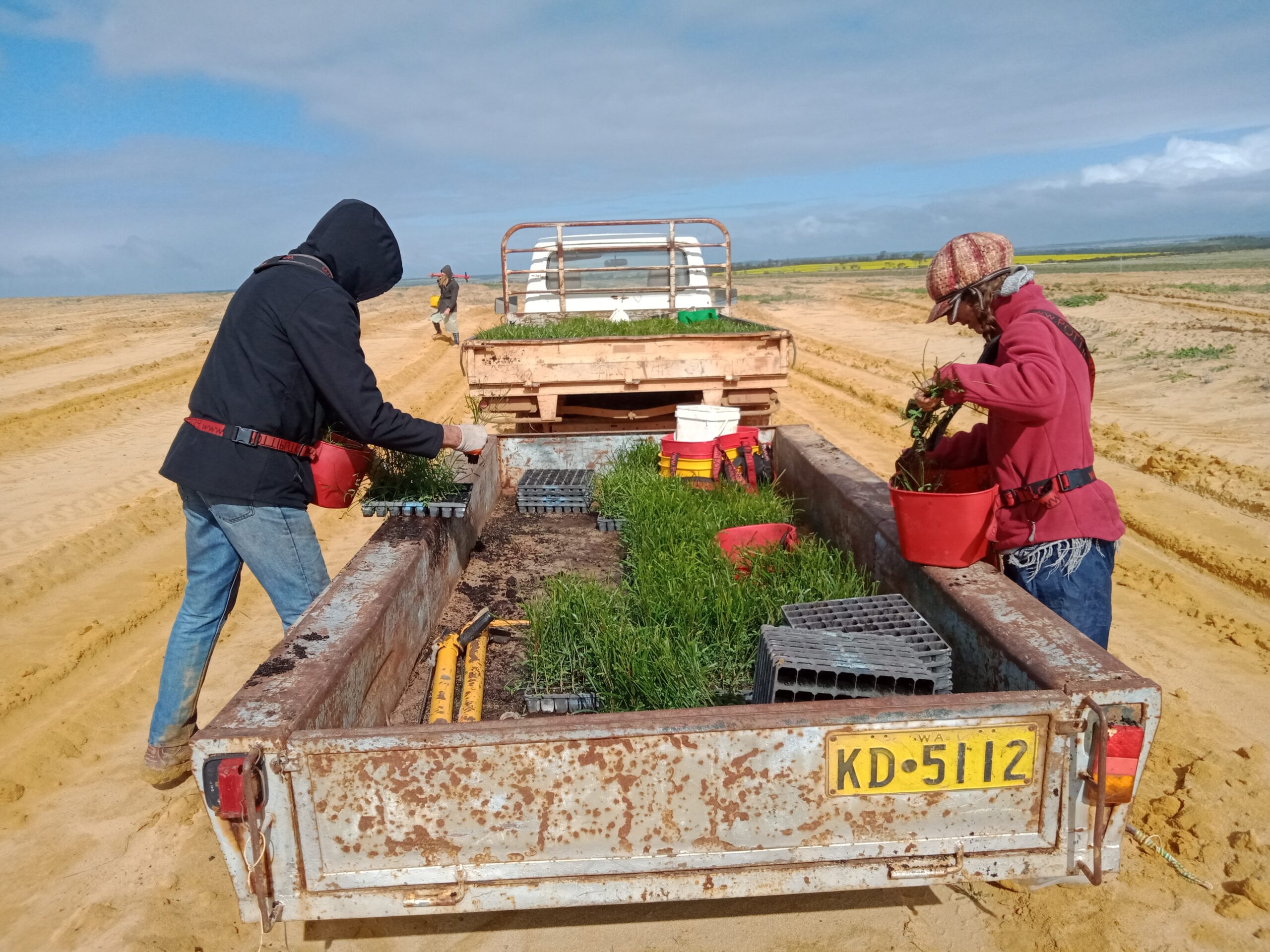 Two people on either side of a trailer filled with seedling trays