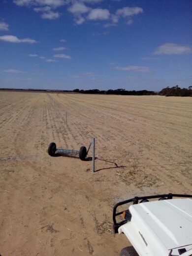 Photo of a sandy paddock with a roll of fencing wire on the ground in front of a white ute bonnet.