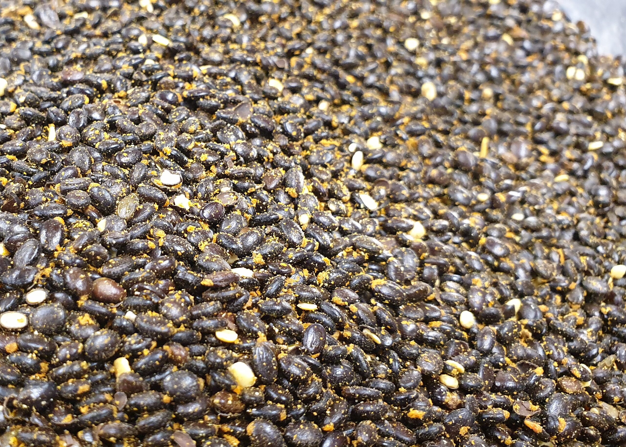Extreme close up of native Australian seeds