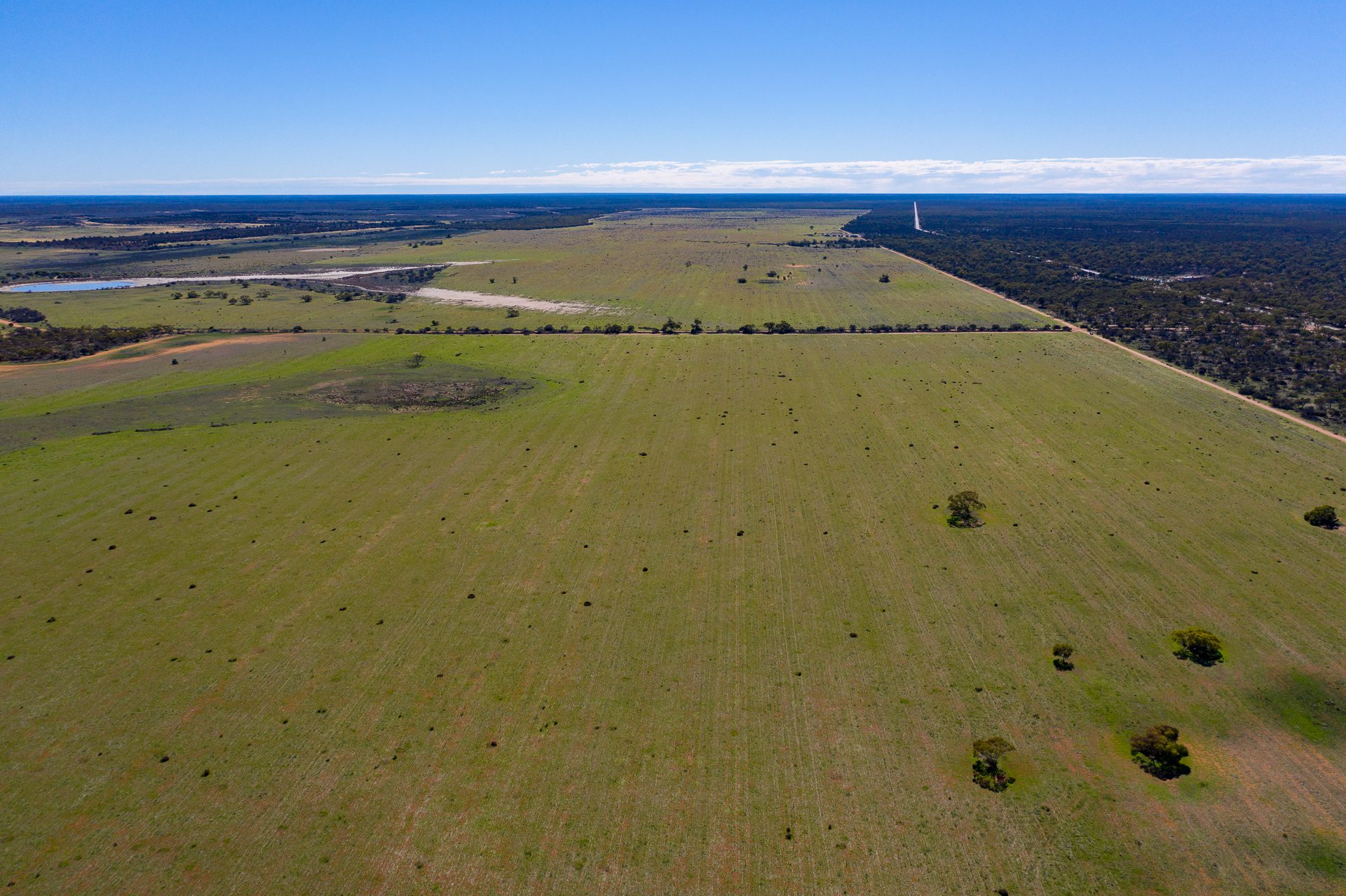 Drone photo of bare paddock with remnant bushland to the right and in the distance