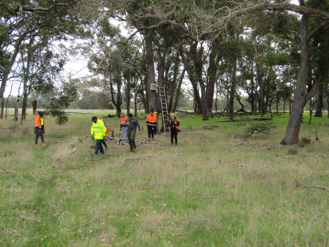 Group of people in high vis jackets walking through a paddock with trees in the background