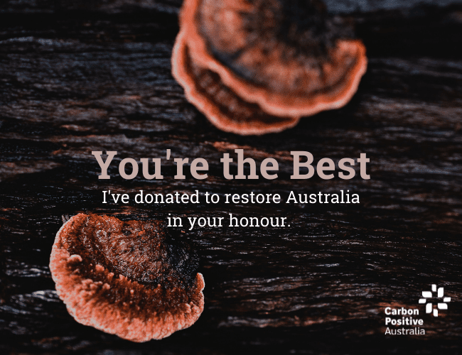 Ari- You're the Best