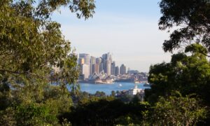 Trees surround view of Sydney Harbour