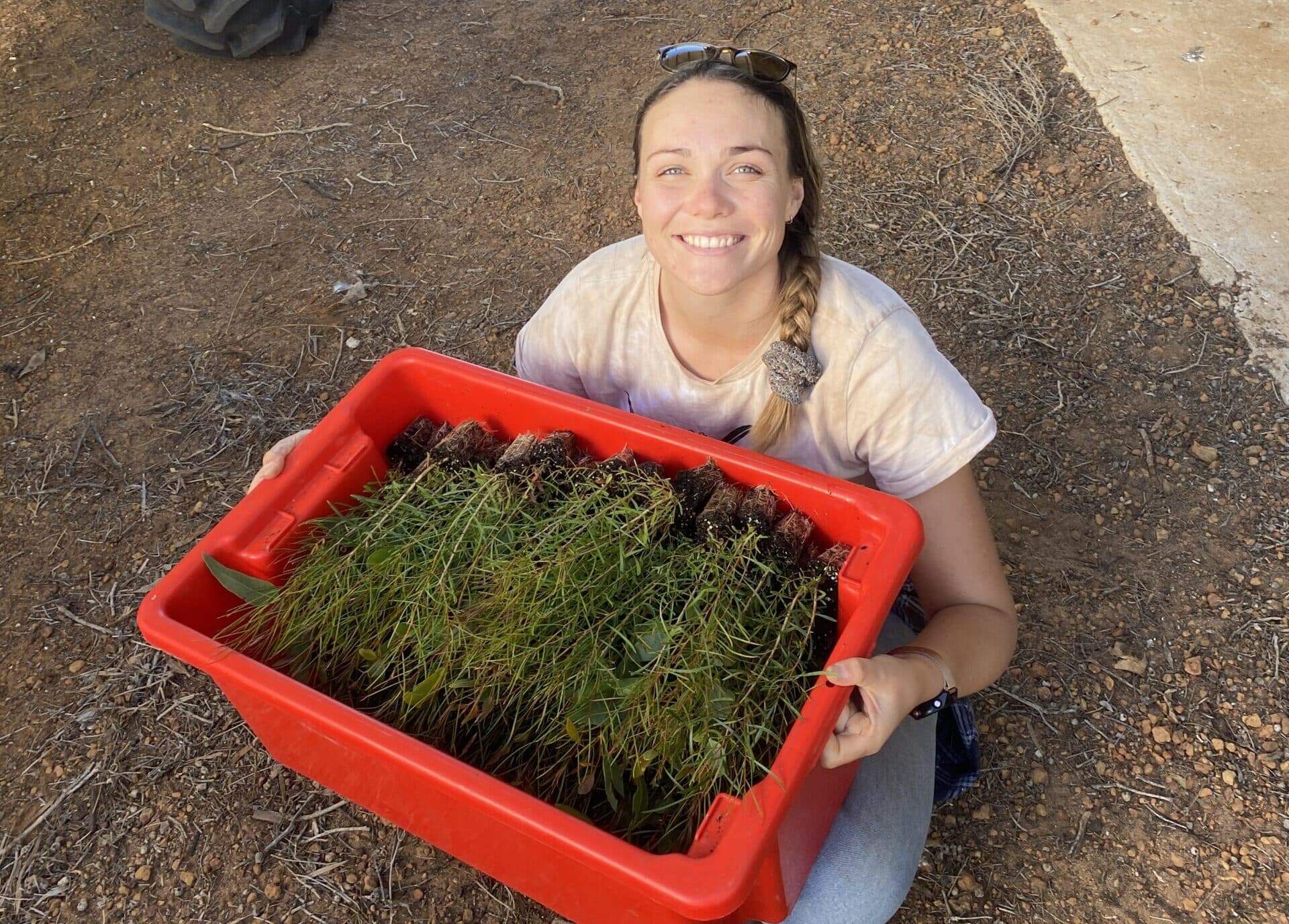 Woman sitting cross legged with a tub full of seedlings on her lap