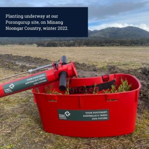 Planting at Porongurup, WA