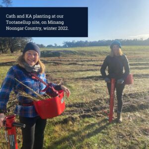 Planting at Tootanellup, WA