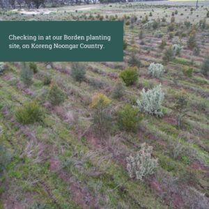 Site visit in Borden