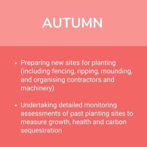 What We Do In Autumn