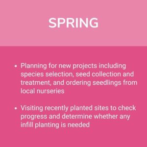 What We Do In Spring