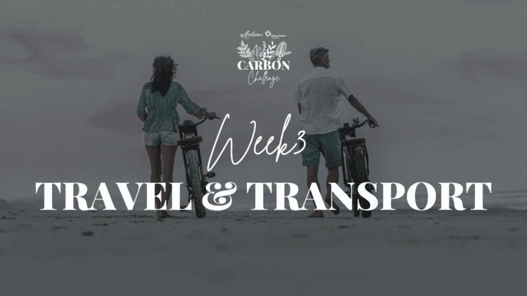 Arnhem Travel